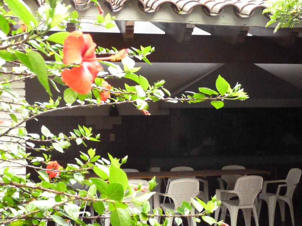 Hostel De Los Artistas 门多萨 外观 照片